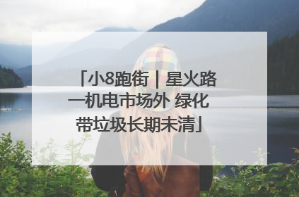 小8跑街｜星火路一机电市场外 绿化带垃圾长期未清