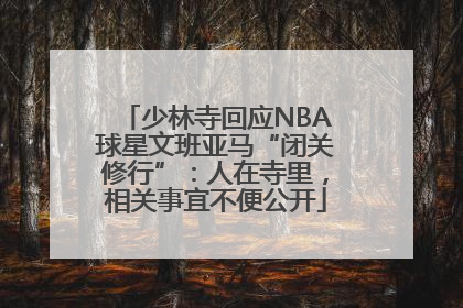 少林寺回应NBA球星文班亚马“闭关修行”：人在寺里，相关事宜不便公开