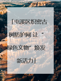 屯溪区织密古树防护网 让“绿色文物”焕发新活力
