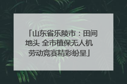 山东省乐陵市：田间地头 全市植保无人机劳动竞赛精彩纷呈