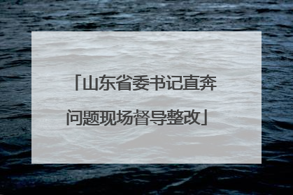 山东省委书记直奔问题现场督导整改