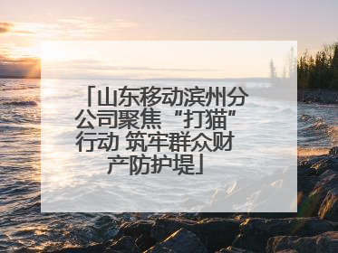 山东移动滨州分公司聚焦“打猫”行动 筑牢群众财产防护堤