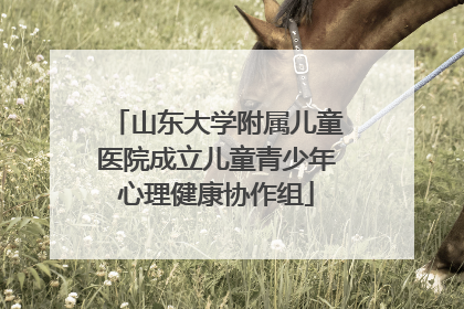 山东大学附属儿童医院成立儿童青少年心理健康协作组