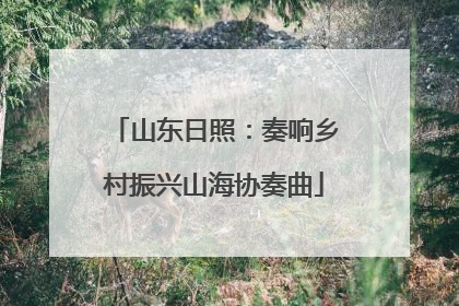 山东日照：奏响乡村振兴山海协奏曲