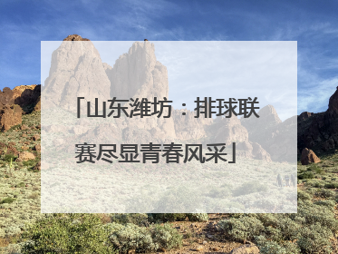 山东潍坊：排球联赛尽显青春风采
