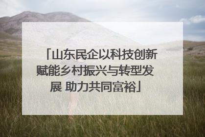 山东民企以科技创新赋能乡村振兴与转型发展 助力共同富裕