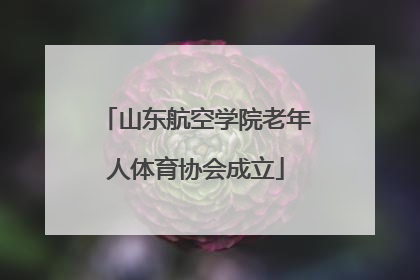 山东航空学院老年人体育协会成立