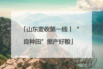 山东麦收第一线丨“良种田”里产好粮