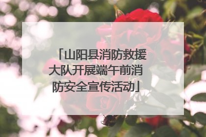 山阳县消防救援大队开展端午前消防安全宣传活动