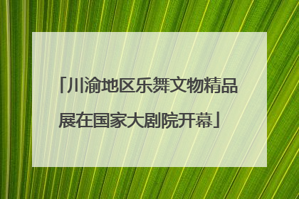 川渝地区乐舞文物精品展在国家大剧院开幕