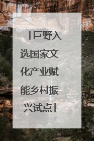 巨野入选国家文化产业赋能乡村振兴试点