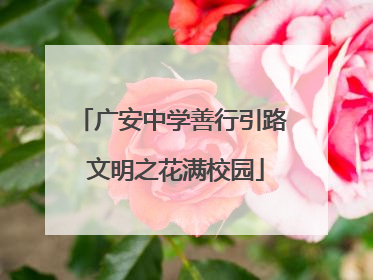 广安中学善行引路 文明之花满校园