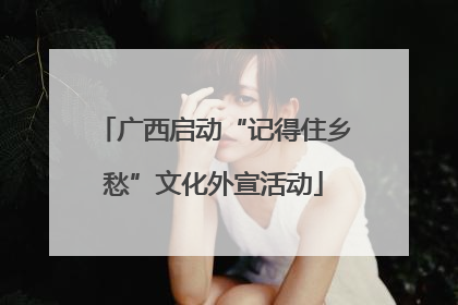 广西启动“记得住乡愁”文化外宣活动