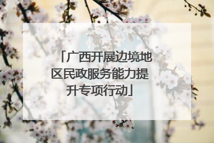 广西开展边境地区民政服务能力提升专项行动