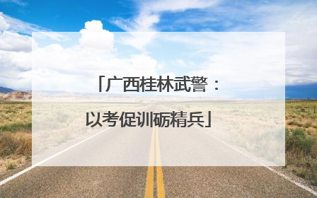 广西桂林武警：以考促训砺精兵