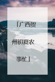 广西贺州初夏农事忙