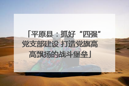 平原县：抓好“四强”党支部建设 打造党旗高高飘扬的战斗堡垒