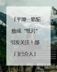 平潭一骆驼瘦成“纸片”引发关注！部门已介入