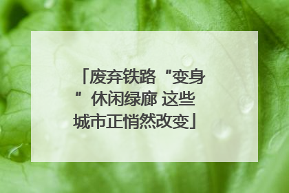 废弃铁路“变身”休闲绿廊 这些城市正悄然改变