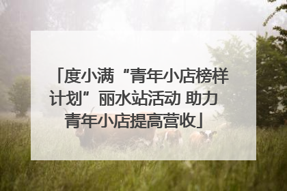 度小满“青年小店榜样计划”丽水站活动 助力青年小店提高营收