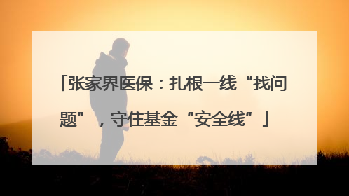 张家界医保：扎根一线“找问题”，守住基金“安全线”