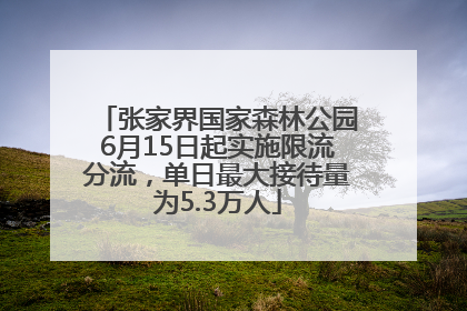 张家界国家森林公园6月15日起实施限流分流，单日最大接待量为5.3万人