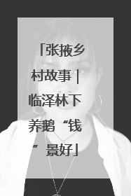 张掖乡村故事｜临泽林下养鹅“钱”景好