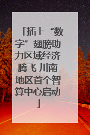 插上“数字”翅膀助力区域经济腾飞 川南地区首个智算中心启动
