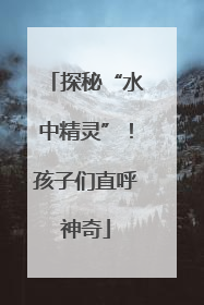 探秘“水中精灵”！孩子们直呼神奇