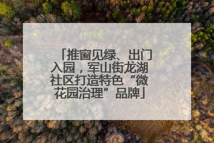 推窗见绿、出门入园，军山街龙湖社区打造特色“微花园治理”品牌