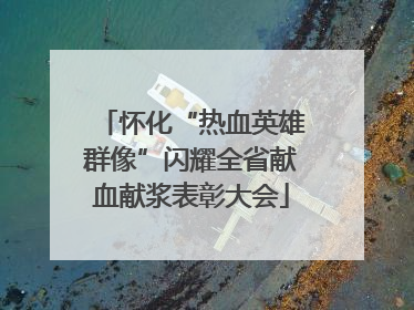 怀化“热血英雄群像”闪耀全省献血献浆表彰大会