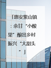 惠安紫山镇：余甘“小酸果”酿出乡村振兴“大甜头”