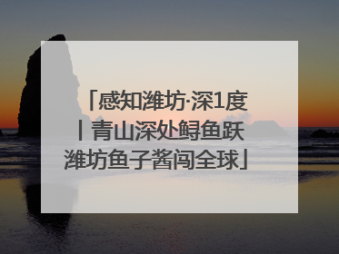 感知潍坊·深1度丨青山深处鲟鱼跃 潍坊鱼子酱闯全球