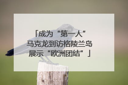成为“第一人” 马克龙到访格陵兰岛展示“欧洲团结”