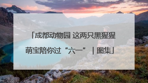成都动物园 这两只黑猩猩萌宝陪你过“六一”｜图集