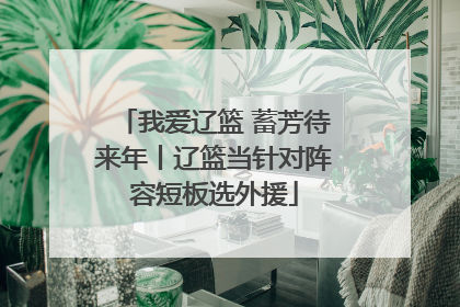 我爱辽篮 蓄芳待来年丨辽篮当针对阵容短板选外援