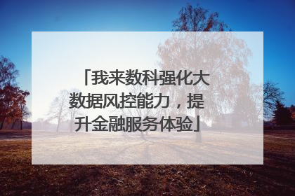 我来数科强化大数据风控能力，提升金融服务体验