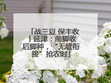 战三夏 保丰收丨延津：前脚收 后脚种，“无缝衔接”抢农时