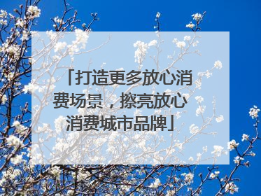 打造更多放心消费场景，擦亮放心消费城市品牌