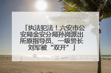 执法犯法！六安市公安局金安分局孙岗派出所原指导员、一级警长刘军被“双开”