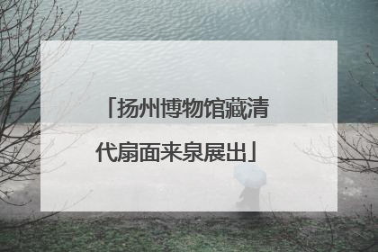 扬州博物馆藏清代扇面来泉展出
