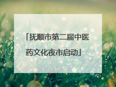 抚顺市第二届中医药文化夜市启动
