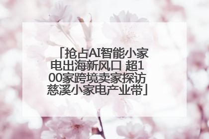 抢占AI智能小家电出海新风口 超100家跨境卖家探访慈溪小家电产业带