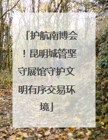 护航南博会！昆明城管坚守展馆守护文明有序交易环境