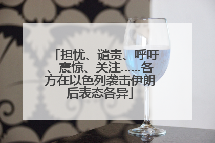 担忧、谴责、呼吁、震惊、关注……各方在以色列袭击伊朗后表态各异