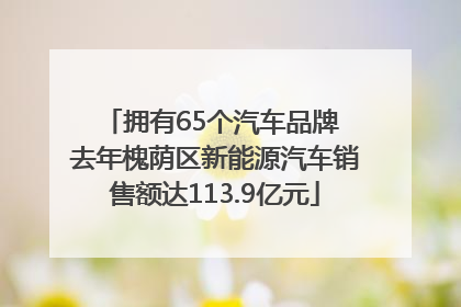 拥有65个汽车品牌 去年槐荫区新能源汽车销售额达113.9亿元