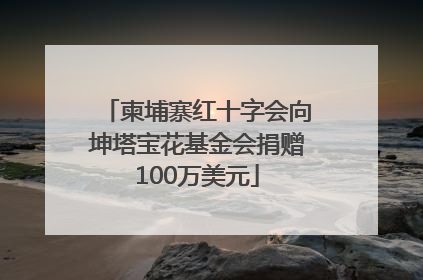 柬埔寨红十字会向坤塔宝花基金会捐赠100万美元