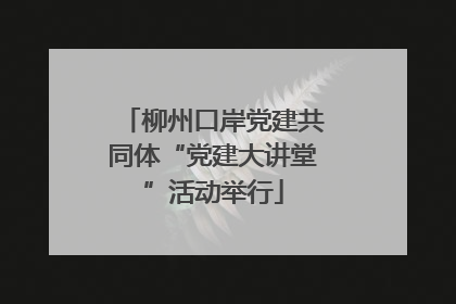 柳州口岸党建共同体“党建大讲堂”活动举行