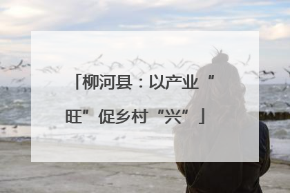 柳河县：以产业“旺”促乡村“兴”