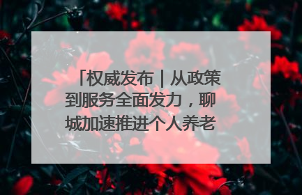 权威发布｜从政策到服务全面发力，聊城加速推进个人养老金制度落地